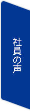 社員の声